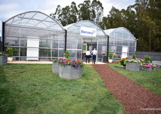 To the showcase of Benary+